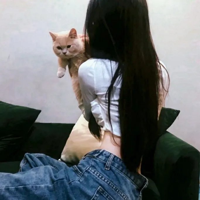 豪门惊梦