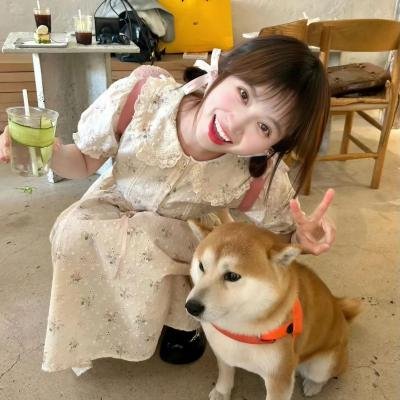 精灵也疯狂