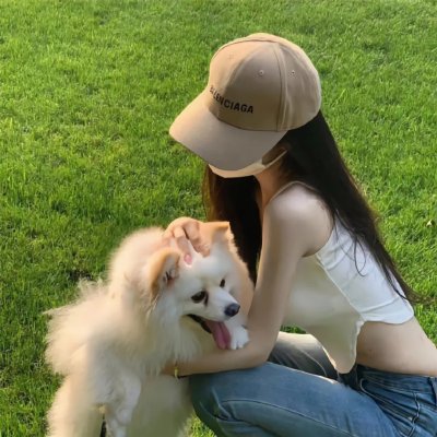 蜘蛛网