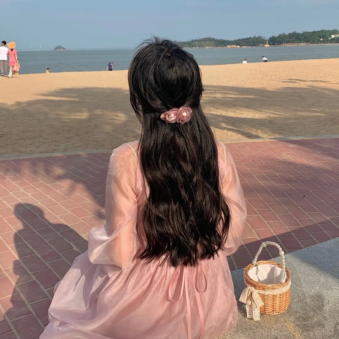 蚊子海岸